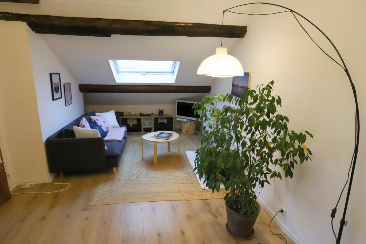 Appartement Petit-Coeur charmant en centre ville à Annecy Extérieur photo