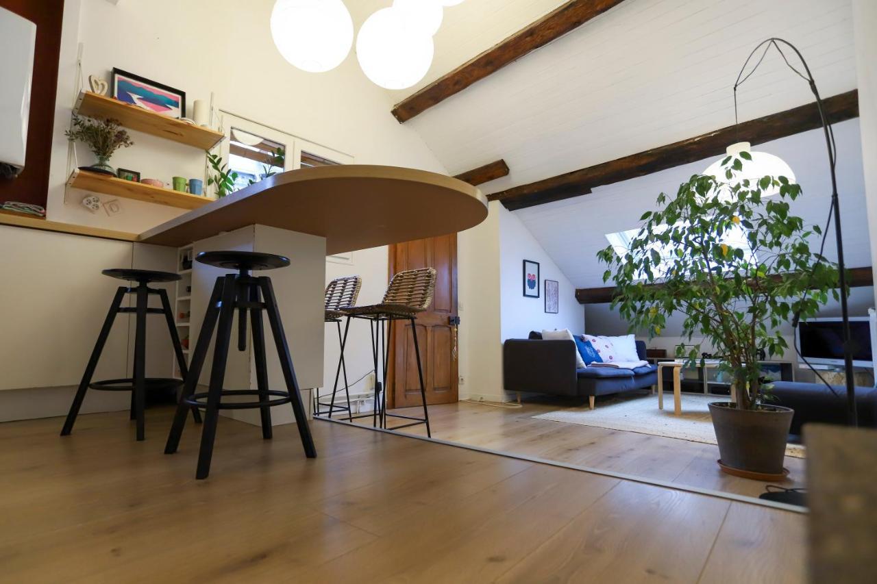 Appartement Petit-Coeur charmant en centre ville à Annecy Extérieur photo