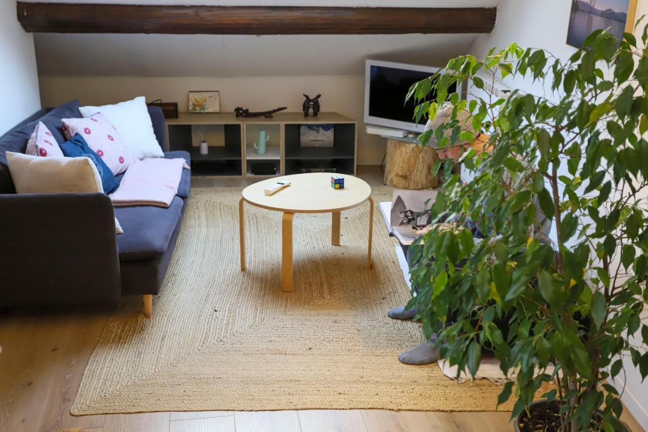 Appartement Petit-Coeur charmant en centre ville à Annecy Extérieur photo