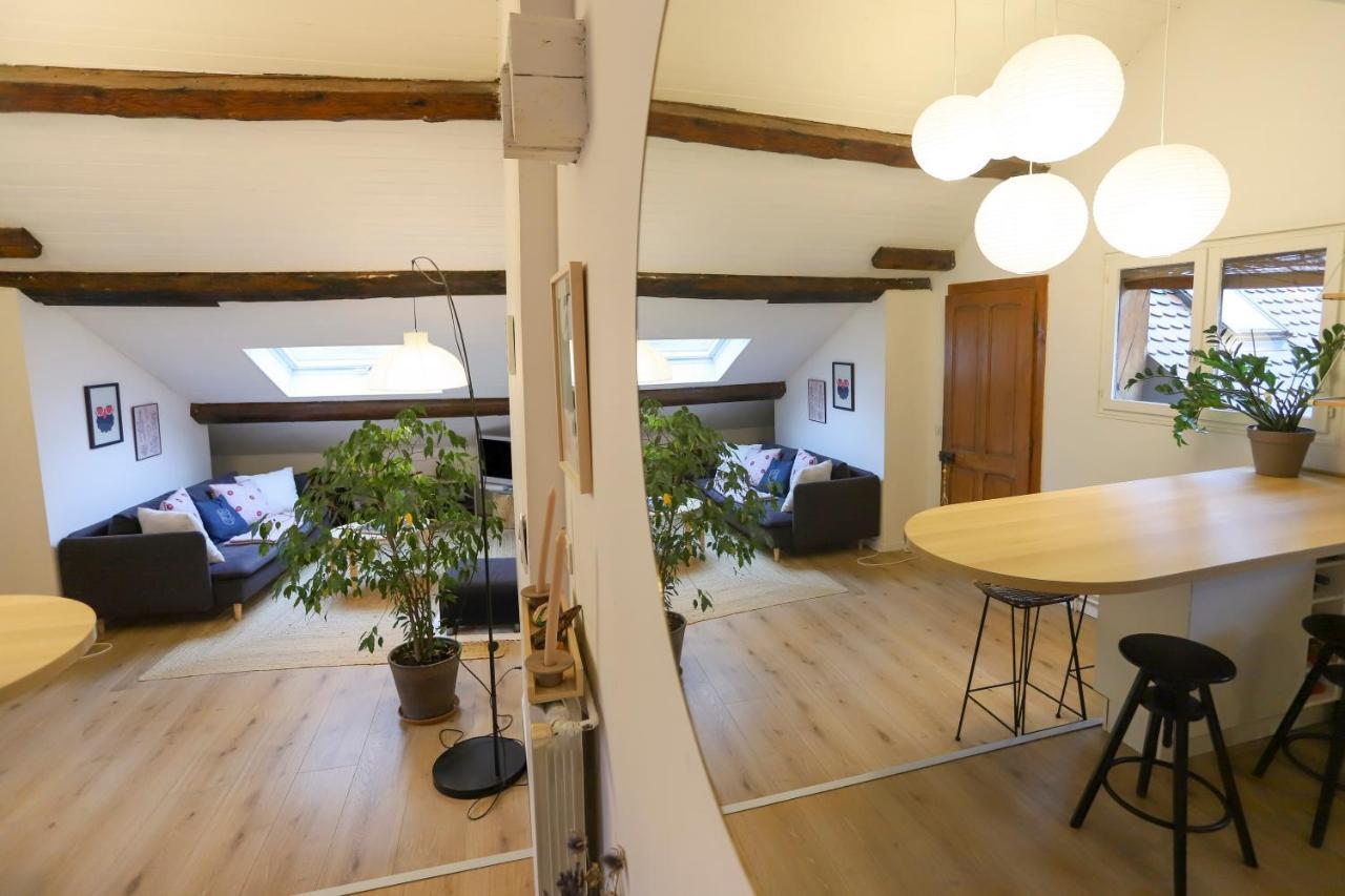 Appartement Petit-Coeur charmant en centre ville à Annecy Extérieur photo